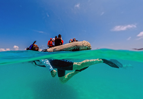 Snorkeling in Galápagos