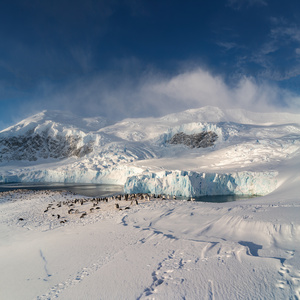 Image: Antarctica