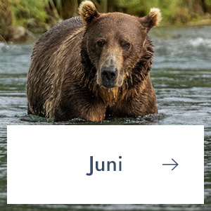 Juni