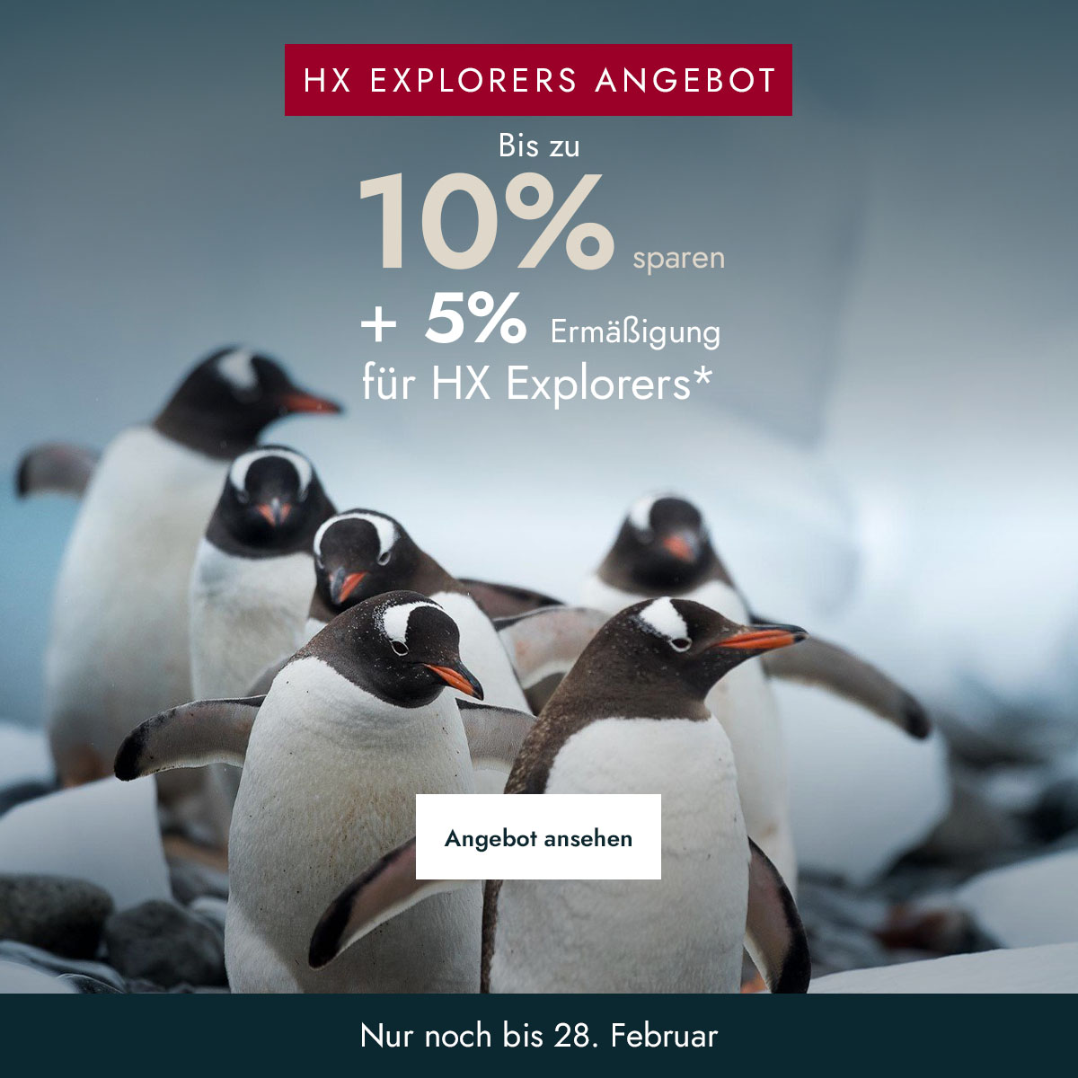 Pinguine in der Antarktis