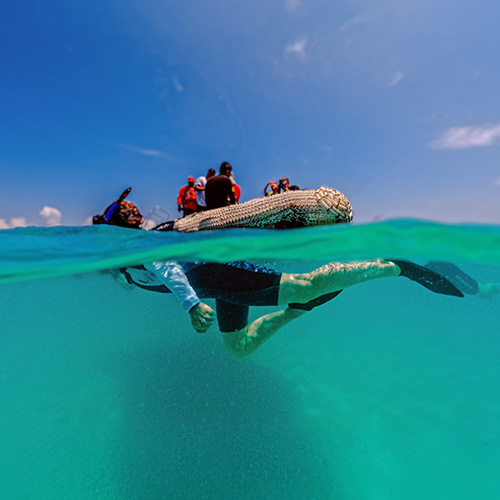 Gast auf den Galapagos-Inseln.