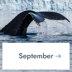 September
