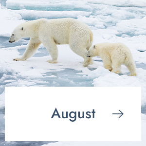 August