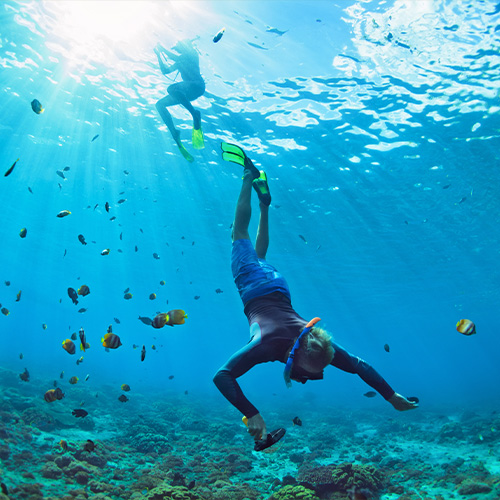 Snorkelling in the Galápagos Islands