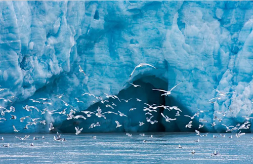 Svalbard